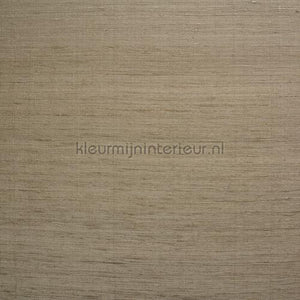 DWC Silk silk-05 | Bestellen bij https://www.kleurmijninterieur.nl/