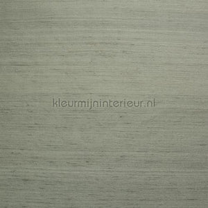 DWC Silk silk-10 | Bestellen bij https://www.kleurmijninterieur.nl/