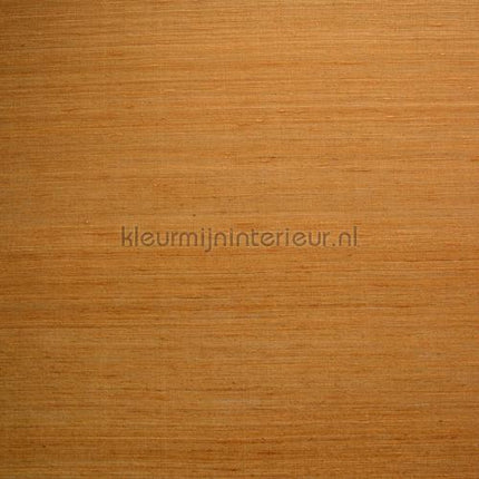 DWC Silk silk-33 | Bestellen bij https://www.kleurmijninterieur.nl/