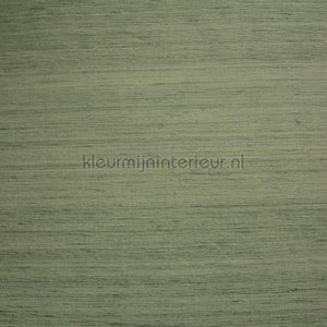 DWC Silk silk-34 | Bestellen bij https://www.kleurmijninterieur.nl/
