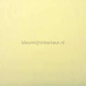 Rodeka Innovations gpw-ivsd-120 | Bestellen bij https://www.kleurmijninterieur.nl/