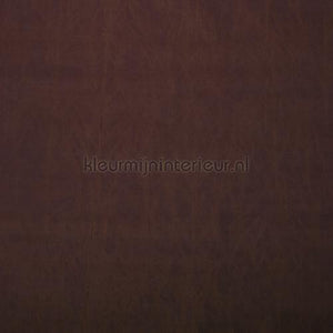 Rodeka Innovations gpw-ivsd-113 | Bestellen bij https://www.kleurmijninterieur.nl/