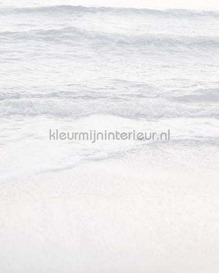 Komar RAW R4-047 | Bestellen bij https://www.kleurmijninterieur.nl/