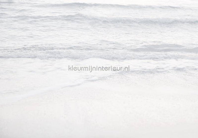 Komar RAW R4-047 | Bestellen bij https://www.kleurmijninterieur.nl/