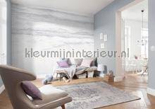 Komar RAW R4-047 | Bestellen bij https://www.kleurmijninterieur.nl/