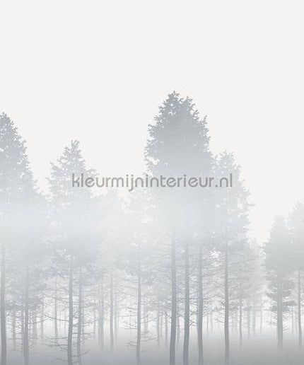 Komar RAW RSX8-055 | Bestellen bij https://www.kleurmijninterieur.nl/