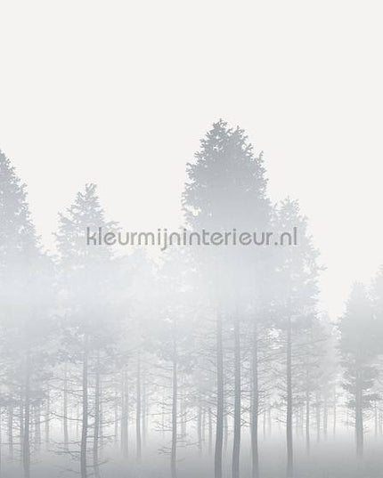 Komar RAW RSX8-055 | Bestellen bij https://www.kleurmijninterieur.nl/