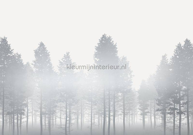 Komar RAW RSX8-055 | Bestellen bij https://www.kleurmijninterieur.nl/
