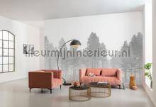 Komar RAW RSX8-055 | Bestellen bij https://www.kleurmijninterieur.nl/