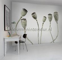 Rebel Walls Greenhouse r12991 | Bestellen bij https://www.kleurmijninterieur.nl/