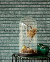 Eijffinger Wallpower Favourites 309046 | Bestellen bij https://www.kleurmijninterieur.nl/