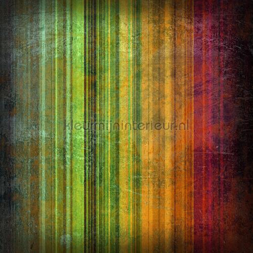 Rebel Walls Spectrum r11091 | Bestellen bij https://www.kleurmijninterieur.nl/