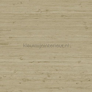 Arte Seraya SRA4216 | Bestellen bij https://www.kleurmijninterieur.nl/