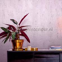 Arte Metal X 37504 | Bestellen bij https://www.kleurmijninterieur.nl/