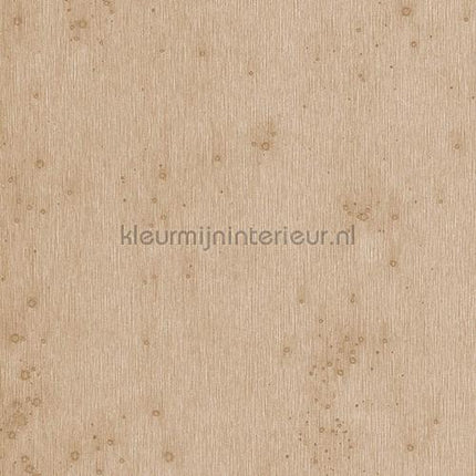 Arte Metal X 37521 | Bestellen bij https://www.kleurmijninterieur.nl/