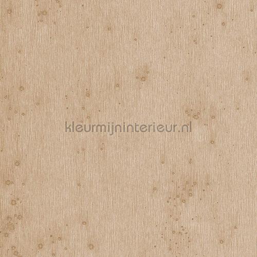 Arte Metal X 37521 | Bestellen bij https://www.kleurmijninterieur.nl/