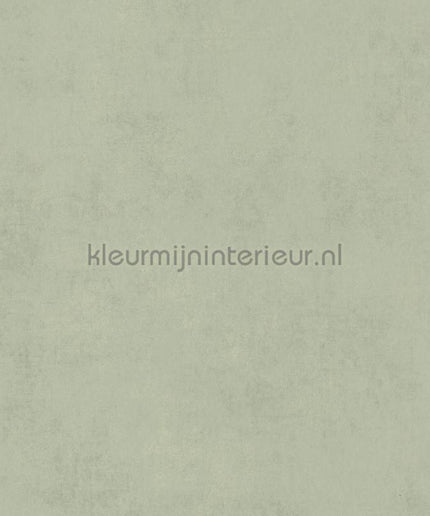 Casadeco Twenties TWNT80837227 | Bestellen bij https://www.kleurmijninterieur.nl/