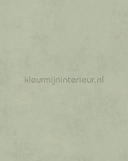 Casadeco Twenties TWNT80837227 | Bestellen bij https://www.kleurmijninterieur.nl/