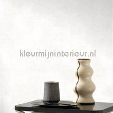 Casadeco Twenties TWNT80830101 | Bestellen bij https://www.kleurmijninterieur.nl/