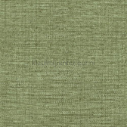 Hookedonwalls Culture Club 14623 | Bestellen bij https://www.kleurmijninterieur.nl/