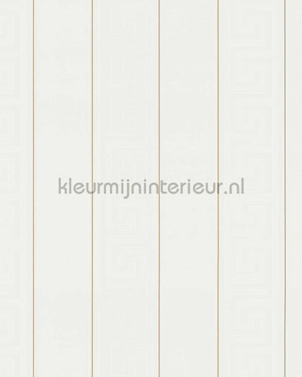Versace wallpaper Versace 5 935241 | Bestellen bij https://www.kleurmijninterieur.nl/