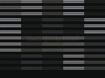 Atlas Wallcoverings Excess 8029-2 | Bestellen bij https://www.kleurmijninterieur.nl/
