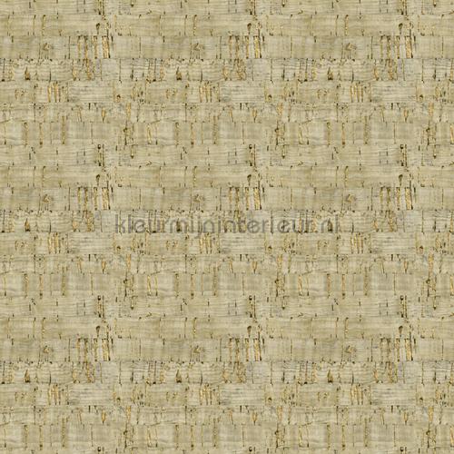 Hookedonwalls Leopard Walk 15326 | Bestellen bij https://www.kleurmijninterieur.nl/