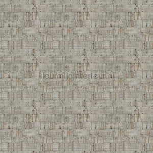 Hookedonwalls Leopard Walk 15327 | Bestellen bij https://www.kleurmijninterieur.nl/
