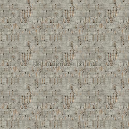 Hookedonwalls Leopard Walk 15327 | Bestellen bij https://www.kleurmijninterieur.nl/
