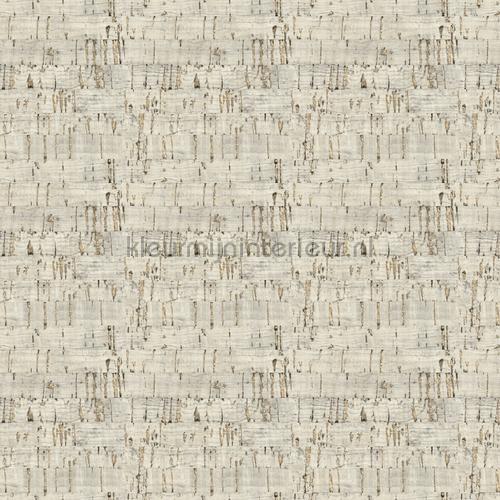 Hookedonwalls Leopard Walk 15328 | Bestellen bij https://www.kleurmijninterieur.nl/
