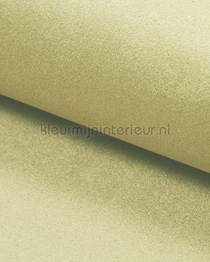 DWC Suedine Suedine 05 | Bestellen bij https://www.kleurmijninterieur.nl/
