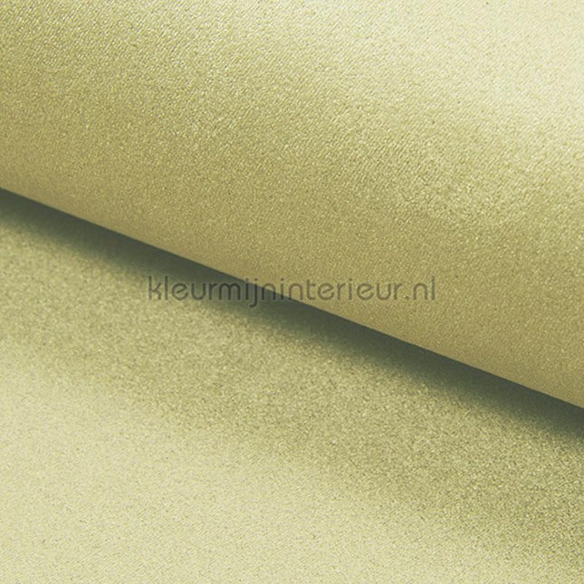DWC Suedine Suedine 05 | Bestellen bij https://www.kleurmijninterieur.nl/