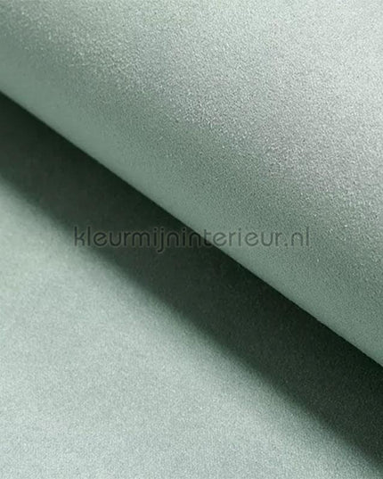 DWC Suedine Suedine 10 | Bestellen bij https://www.kleurmijninterieur.nl/