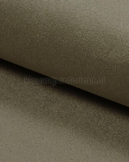 DWC Suedine Suedine 50 | Bestellen bij https://www.kleurmijninterieur.nl/