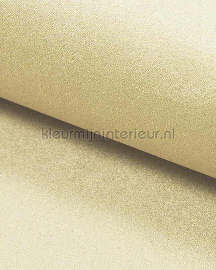 DWC Suedine Suedine 56 | Bestellen bij https://www.kleurmijninterieur.nl/