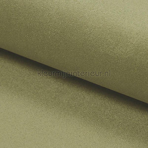 DWC Suedine Suedine 82 | Bestellen bij https://www.kleurmijninterieur.nl/