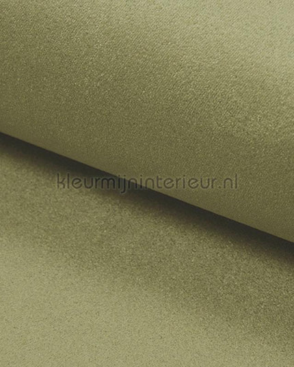 DWC Suedine Suedine 82 | Bestellen bij https://www.kleurmijninterieur.nl/