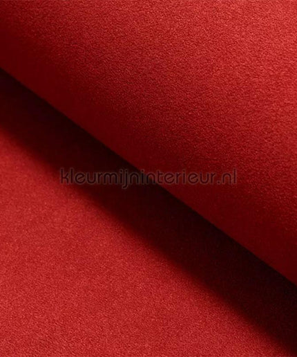 DWC Suedine Suedine 94 | Bestellen bij https://www.kleurmijninterieur.nl/