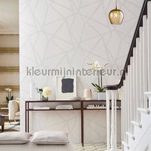 Harlequin Momentum Wallcoverings Volume 4 111573 | Bestellen bij https://www.kleurmijninterieur.nl/
