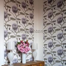 Cole and Son Contemporary Restyled 95-4023 | Bestellen bij https://www.kleurmijninterieur.nl/