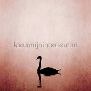 Livingwalls ARTist dd119917 | Bestellen bij https://www.kleurmijninterieur.nl/