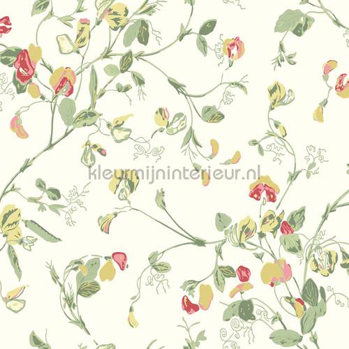 Cole and Son Botanical 100-6027 | Bestellen bij https://www.kleurmijninterieur.nl/