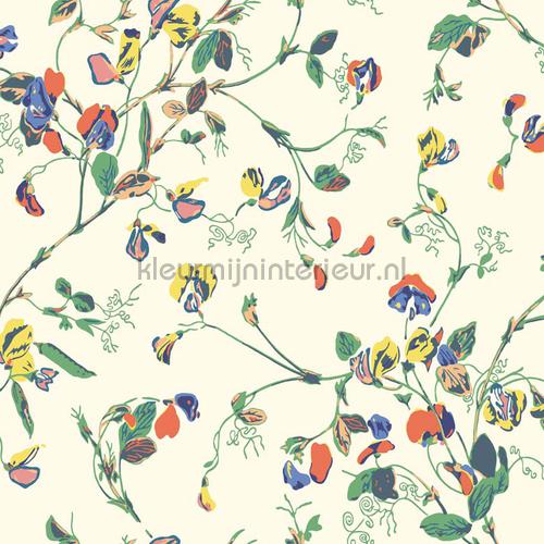Cole and Son Botanical 115-11032 | Bestellen bij https://www.kleurmijninterieur.nl/