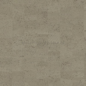 Omexco Casca CAS45 | Bestellen bij https://www.kleurmijninterieur.nl/