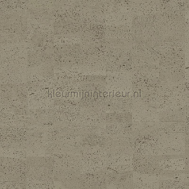 Omexco Casca CAS45 | Bestellen bij https://www.kleurmijninterieur.nl/