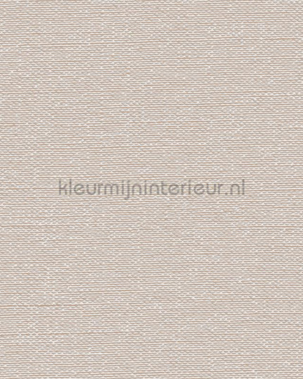 Dutch Wallcoverings Tapestry TP422402 | Bestellen bij https://www.kleurmijninterieur.nl/
