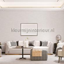 Dutch Wallcoverings Tapestry TP422402 | Bestellen bij https://www.kleurmijninterieur.nl/