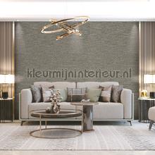 Dutch Wallcoverings Tapestry TP422406 | Bestellen bij https://www.kleurmijninterieur.nl/