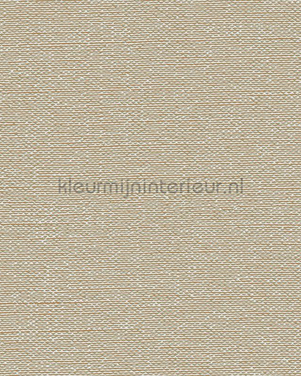 Dutch Wallcoverings Tapestry TP422404 | Bestellen bij https://www.kleurmijninterieur.nl/