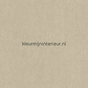 BN Wallcoverings  46888 | Bestellen bij https://www.kleurmijninterieur.nl/